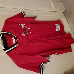 Bulls Mesh Jersey